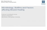 Microbiology, Biofilms and Factors affecting Wound …€¦ · Diabetic foot Venous ulcer Pressure sore . Acute wounds . Chronic wounds- why do they not heal?? •Static •Matrix