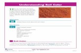 Understanding Soil Color - agricultural education - Hometuscolaagriculture.weebly.com/uploads/8/3/8/9/8389114/soil_color.pdf · E-unit: Understanding Soil Color Page 2 AgEdLibrary.com