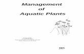 MANAGEMENT OF AQUATIC PLANTS - SOM - State of .... Although they are important to the aquatic environment, plants frequently conflict with recreational and economical interests. A