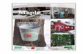 Maple Syrup BMPs - The Center for Agriculture, Food …ag.umass.edu/sites/ag.umass.edu/files/pdf-doc-ppt/maple...ii Maple Syrup BMPs A Handbook of Best Management Practices for Massachusetts