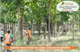 Uganda Timber Growers Association Uganda Timber ... - … 2013 Final.pdf · Uganda Timber Growers Association ... Objective D: Market Development for Forestry Products 11 Timber trade