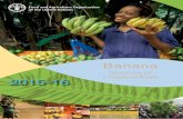 Statistical compendium 2015-16 · statistical compendium 2015-2016 Food and Agriculture ... DEVELOPING COUNTRIES 2 358.3 2 503.6 2 716.6 2 990.9 3 040.0 3 396.7 3 449.4 3 722.9 3