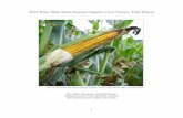 2010 Penn State Short-Season Organic Corn Variety …agsci.psu.edu/organic/research-and-extension/variety...2010 Penn State Short-Season Organic Corn Variety Trial Report Ear of corn