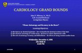 CARDIOLOGY GRAND ROUNDS - vanderbilt.edu · 12/4/1996 1 CARDIOLOGY GRAND ROUNDS John P. Wikswo, Jr., Ph.D. A.B. Learned Professor . Living State Physics “Tissue Anisotropy and Re-entry