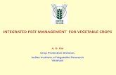 INTEGRATED PEST MANAGEMENT FOR VEGETABLE CROPS · PDF fileINTEGRATED PEST MANAGEMENT FOR VEGETABLE CROPS ... dominated by fruits and vegetables, ... Extent of pesticide residues in