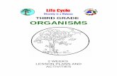 THIRD GRADE ORGANISMS - msnucleus.org · OVERVIEW OF THIRD GRADE ORGANISMS WEEK 1. PRE: Comparing and contrasting invertebrates and vertebrates. ... Give students the worksheet as