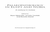 Palaeopathology in Egypt and Nubia - ERA · Palaeopathology . in Egypt and Nubia. A century in review. Edited by. Ryan Metcalfe, ... Cambridge a portion of the material he excavated