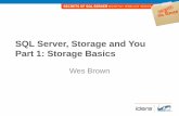 SQL Server, Storage and You Part 1: Storage Basics · SQL Server, Storage and You Part 1: ... • Cache can effect this block size effects this 4~64k –Track to Track Seek for ...