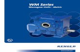 10708 WM AMERICAN AH - Renold Plc - Manufacturer of … · Gears WM Series - Product Specification For more information telephone us - Canada: Toll Free 800.265.9970. USA: Toll Free
