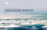 Review of offshoRe DRilling in the CanaDian aRCtiC · National Energy Board Office national de l’énergie National Energy Board Office national de l’énergie The past is always