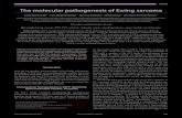 The molecular pathogenesis of Ewing sarcoma - Digital.CSICdigital.csic.es/bitstream/10261/45827/1/issn1538-4047.pdf · Carlos Mackintosh, 1, ... MLPA, multiplex ligation-dependent