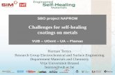 Challenges for self-healing coatings on metals - SIM … · Challenges for self-healing coatings on metals ... SVET Analysis of Self-Healing In 0,05M NaCl Before healing After healing