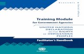Training Module - Welcome to the United Nations€¦ ·  · 2017-07-26of achieving basic human rights for all. ... aspirations and develop - ... Training Module for Government Agencies
