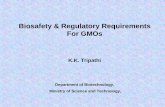 Biosafety & Regulatory Requirements For GMOsenvfor.nic.in/divisions/csurv/biosafety/SAU/Presentations/Ludhiana/... · Biosafety & Regulatory Requirements For GMOs K.K. Tripathi Department