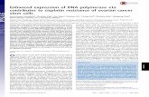 Enhanced expression of DNA polymerase eta … expression of DNA polymerase eta contributes to cisplatin resistance of ovarian cancer stem cells Amit Kumar Srivastava a, Chunhua Han