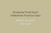 Anatomy Final Exam Slideshow Practice Quiz Final Exam Slideshow Practice Quiz MMHS Anatomy ... Which bone is the ... Answer Key 1 C 11 C 21 C 2 ...
