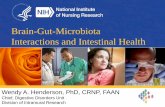 Brain-Gut-Microbiota Interactions and Intestinal Healthregist2.virology-education.com/Presentations/3rdMicrobiome/... · Brain-Gut-Microbiota Interactions and Intestinal Health. Wendy