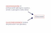 DEGRADAZIONE di polisaccaridi (glicogeno epatico, … ciclo dell’acido citrico = ciclo di Krebs = ciclo degli acidi tricarbossilici negli eucarioti avviene interamente nei mitocondri