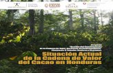 (Guatemala, El Salvador, Honduras y Nicaragua). …...... que implementa la ONG internacional VECO Mesoamérica, el cual ... cacao de la República de Honduras al ... el cacao hondureño