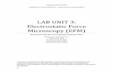 LAB UNIT 3: Electrostatic Force Microscopy (EFM) · easyScan 2 AFM dynamic mode module ... LAB UNIT 3: Electrostatic Force Microscopy (EFM) Specific Assignment: ...