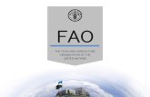 FAO - BOPビジネス支援センター€¢ FAO Principles and Guidelines for Cooperation with the Private Sector ... • TeleFood • Save Food Initiative Advocacy and Communication