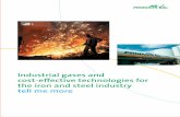 Industrial gases and cost-eff ective technologies for tell ... · Industrial gases and cost-eff ective technologies for the iron and steel industry tell me more 84753_040313_Folder.indd