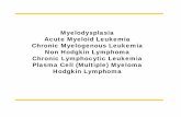Myelodysplasia Acute Myeloid Leukemia Chronic … Acute Myeloid Leukemia Chronic Myelogenous Leukemia Non Hodgkin Lymphoma Chronic Lymphocytic Leukemia Plasma Cell (Multiple) Myeloma