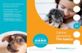 Canine parvovirus. - Pet Health Network every pet owner needs to know about this common and potentially deadly disease What is canine parvovirus? Often called just “parvo,” canine