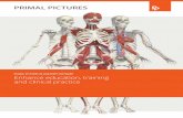 PRIMAL PICTURES 3D ANATOMY SOFTWARE Enhance … · Enhance education, training and clinical practice PRIMAL PICTURES 3D ANATOMY SOFTWARE.  Who …