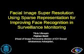 Facial Image Super Resolution Using Sparse …cs.ioc.ee/~tarmo/tday-kao/rasti-slides.pdf•Image interpolation is one of the basic methods for up-sampling images ... domain Methods
