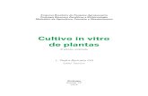 Cultivo in vitro de plantas · A cultura de tecidos hoje no Brasil é uma realidade não apenas ... de que o esforço ... Totipotencialidade e morte celular, 134 Modelos de desenvolvimento