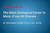 Chronic Inflammation is a - Dr. Christopher Hobbs of Inflammation Acute or chronic Orchestrates immune response to pathogens, tissue damage and then removal of wastes Alters blood