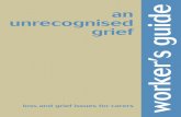 an unrecognised grief worker’s guide - Carers Victoria and Grief - A workers... · an unrecognised grief ... educational and career • Paid work • Financial security ... the