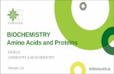 BIOCHEMISTRY Amino Acids and Proteins · Amino Acid Function and Protein Classification • Amino acids are the building block of proteins, support metabolism and are important energy