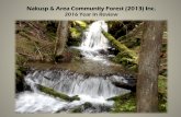 Nakusp & Area Community Forest (2013) Incnakuspcommunityforest.com/wp-content/uploads/2017/04/NACFOR_20… · Nakusp & Area Community Forest (2013) Inc . 2016 Year In Review . Photo: