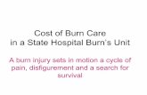 Cost of Burn Care - Childsafe - Child Accident Prevention ... of Burn Care in a State Hospital Burn’s Unit A burn injury sets in motion a cycle of pain, disfigurement and a search