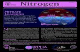 Nitrogen - International Plant Nutrition Institute (IPNI)ipni.net/publication/nitrogen-en.nsf/book/FDEE48CFF7600CE585257C... · nitrate that is vulnerable to leaching loss. Place: