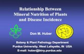 Relationship Between Mineral Nutrition of Plants and ...brasil.ipni.net/ipniweb/region/brasil.nsf... · Relationship Between Mineral Nutrition of Plants and Disease Incidence Don