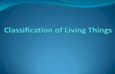Classification of Living Things - Mrs. Wardle's Teacher Page · Learning Objectives Living things can be classified based on structural evidence embryological evidence evolutionary