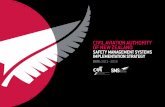 Safety Management Systems Implementation Strategy · SAFETY MANAGEMENT SYSTEM – i N du ST ... AViATioN orGANiSATioNS To ProAcTiVELY iMPLEMENT ForMAL SAFETY MANAGEMENT ... safety
