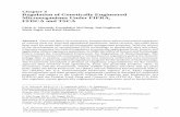 Regulation of Genetically Engineered Microorganisms Under ... · 60 C.A. Wozniak et al. escensß uor , respectively. A system devised by Crop Genetics International (CGI) focused