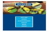 CAST IRON BRONZE ALUMINIUMBRONZE CONCAST … Brochure ELCAS 2011 english.pdf · Alloy number 0.6025 EN-JL 1040 Chemical composition ... The material specification of cast iron is
