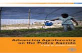Advancing Agroforestry on the Policy Agenda - …€¦ · Advancing Agroforestry on the Policy Agenda ... Agroforestry systems include both traditional and ... (Malawi), Julio Ugarte