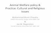 Cultural and Religious Issues in Animal Welfare man may slaughter an animal (mammal or fowl) • He has the special training, both religious (Jewish law) and the practical training