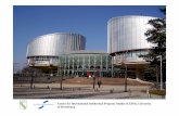 Intellectual Property in front of the European Court of ... Property in front of the European Court of Human Rights ... general ambit of property protection provided by Article 1 of