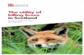 The utility of killing foxes in Scotland - National Fox utility of killing foxes in summary 04. The utility of killing foxes in Scotland Fox numbers and population trends in Scotland