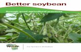 Better soybean - N2Africa N2Africa... · Soybean is a grain legume that is very nutritious and ... or processed for soy milk, ... Land selection and preparation • Soybean can be