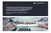 Internal Audit Performance - iia.org.uk Audit Performance . ... a quality assurance and improvement programme ... cooperation and joint working with other internal assurance providers,