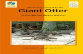 International Studbook for the Giant Otter · 2 International Studbook for the Giant Otter (PTERONURA BRASILIENSIS) International Studbook Keeper: Dr. Frank Brandstätter Studbook