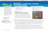KEY CONCEPT Biomes contain many ecosystems. - …€¦ ·  · 2005-12-01there are large geographic areas that are similar in climate and that have similar types of plants and ...